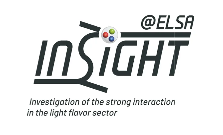 INSIGHTlogo
